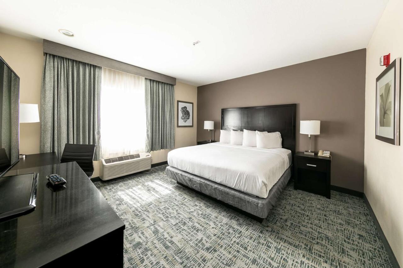 Hotel Best Western & Zoo -seaworld Area