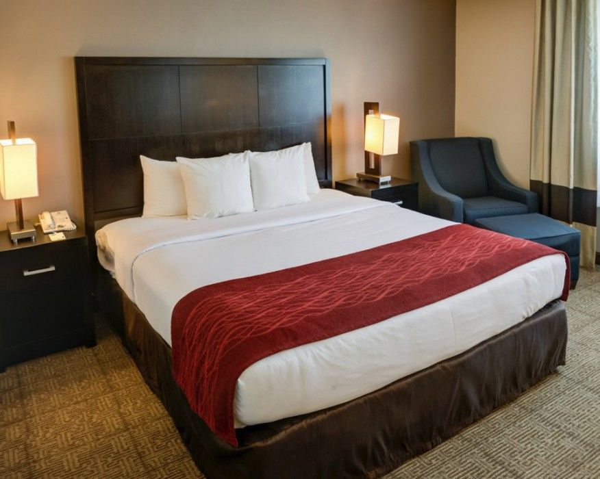 Comfort Inn&suites Zoo Seaworld Area San Diego